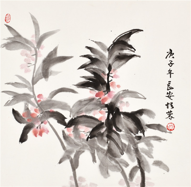 胡蓉花卉作品